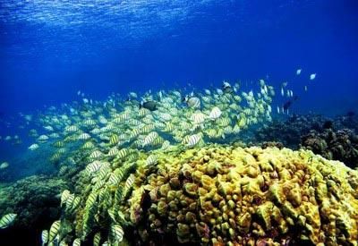 背上行囊，讓心去旅行：全球最吸引人的20個(gè)旅游目的地