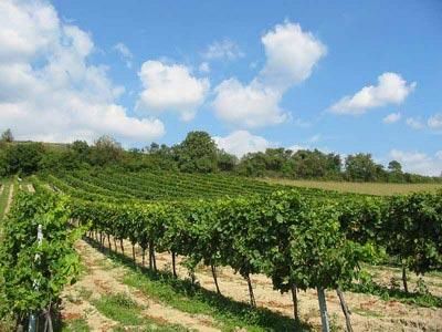 背上行囊，讓心去旅行：全球最吸引人的20個(gè)旅游目的地